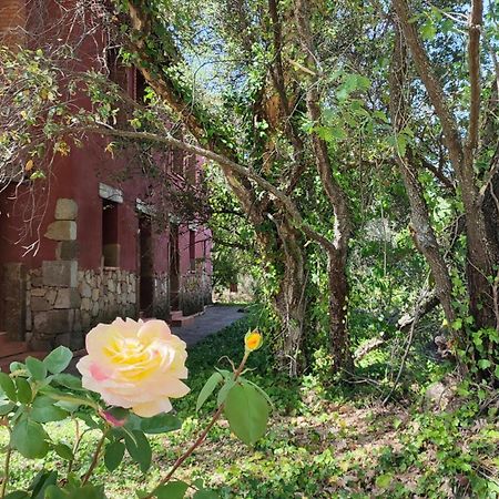 Apartamentos Rurales La Oropendola Jaraiz de la Vera Exteriér fotografie