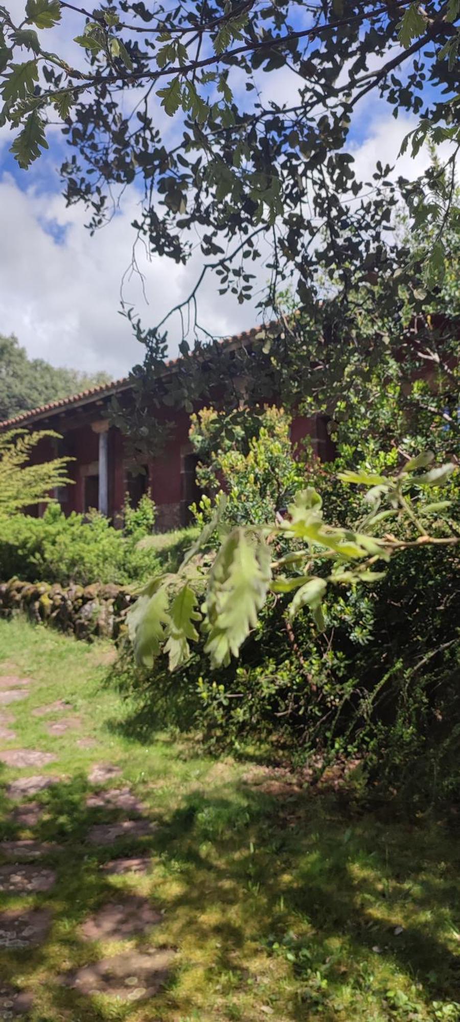 Apartamentos Rurales La Oropendola Jaraiz de la Vera Exteriér fotografie