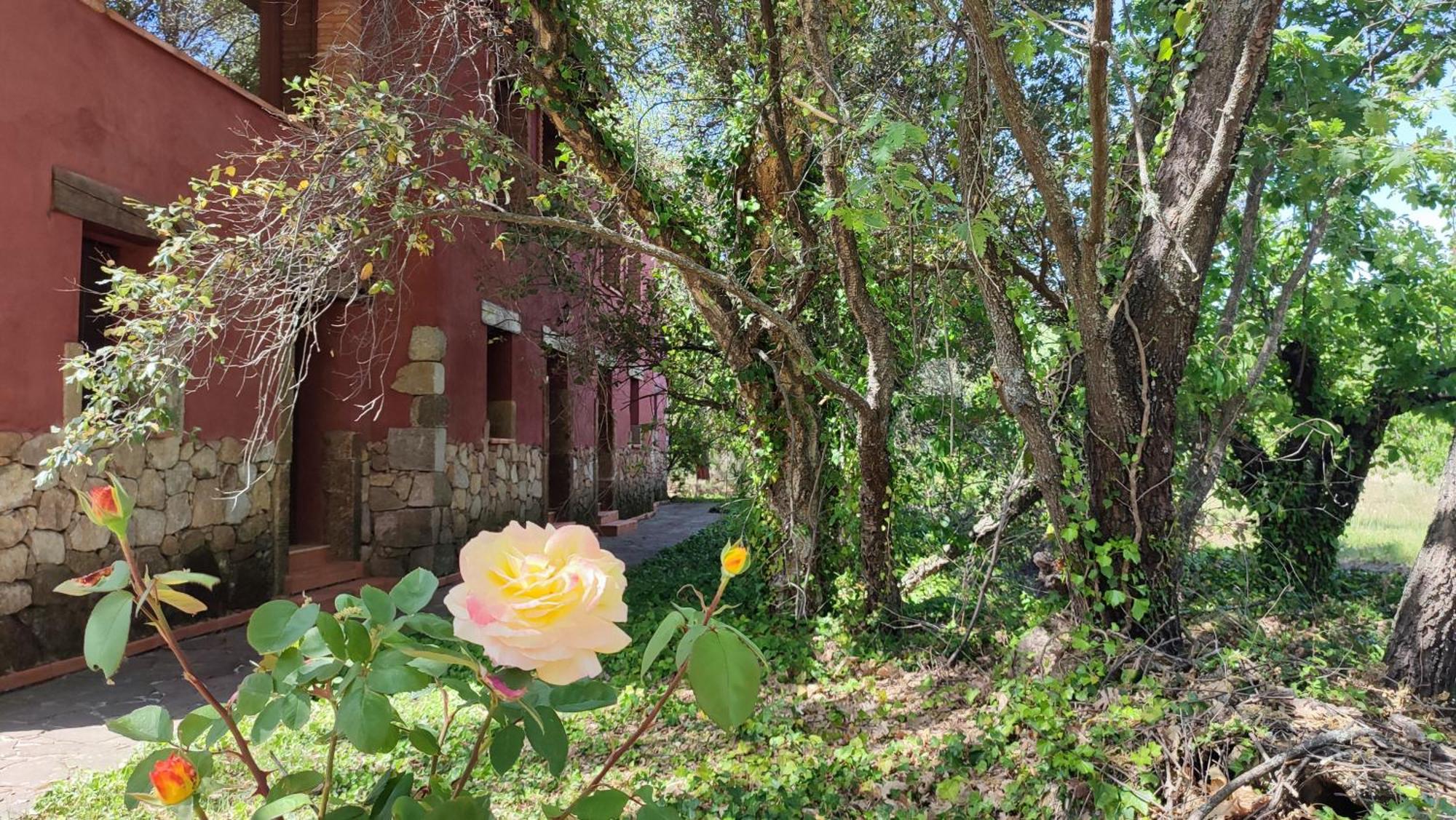 Apartamentos Rurales La Oropendola Jaraiz de la Vera Exteriér fotografie