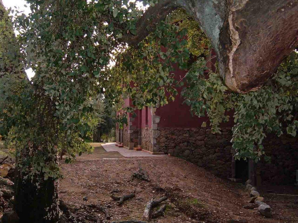 Apartamentos Rurales La Oropendola Jaraiz de la Vera Exteriér fotografie